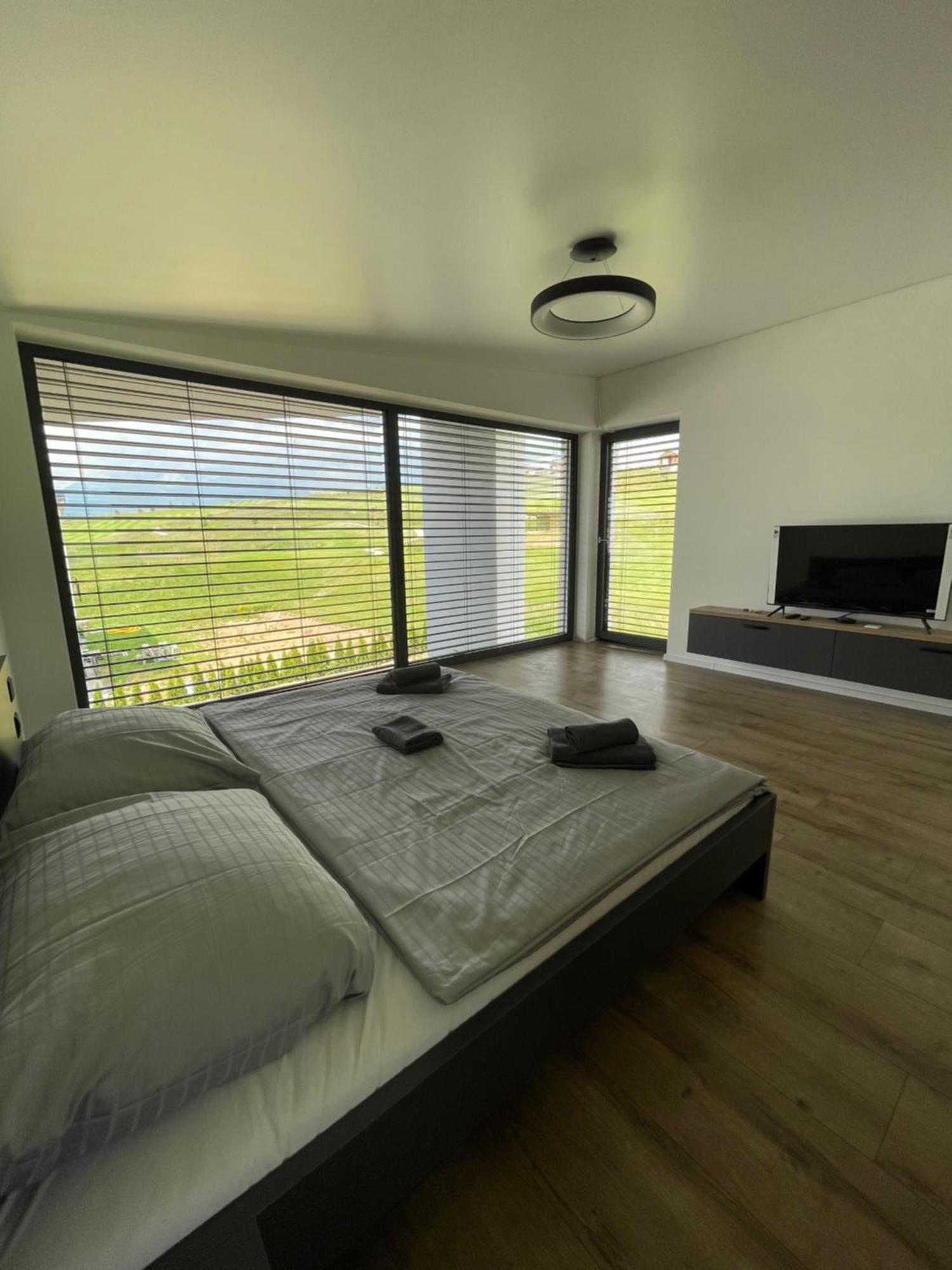 Luxury Apartments Maly Slavkov Exterior foto